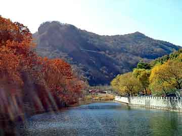 贡日村新任领导风采