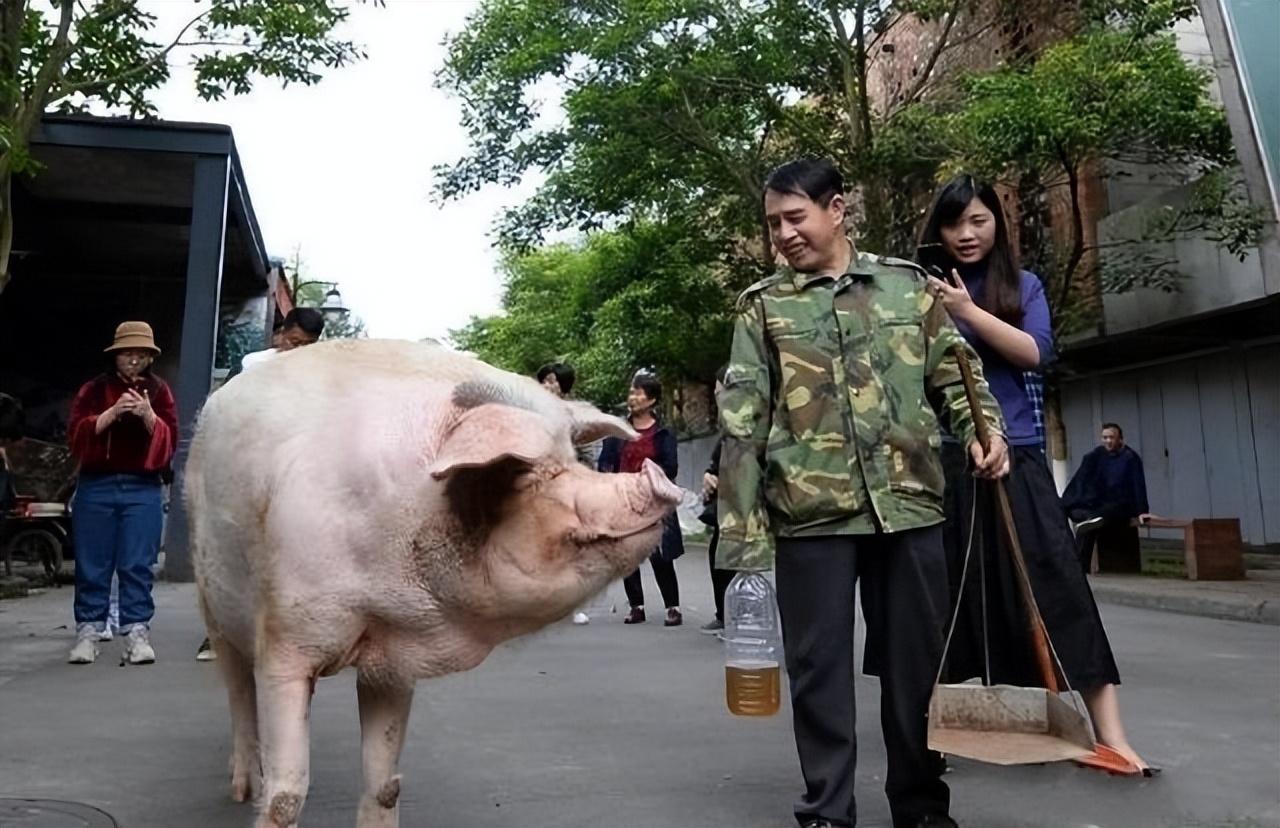 探访被埋男童家庭，关注背后的故事与情感