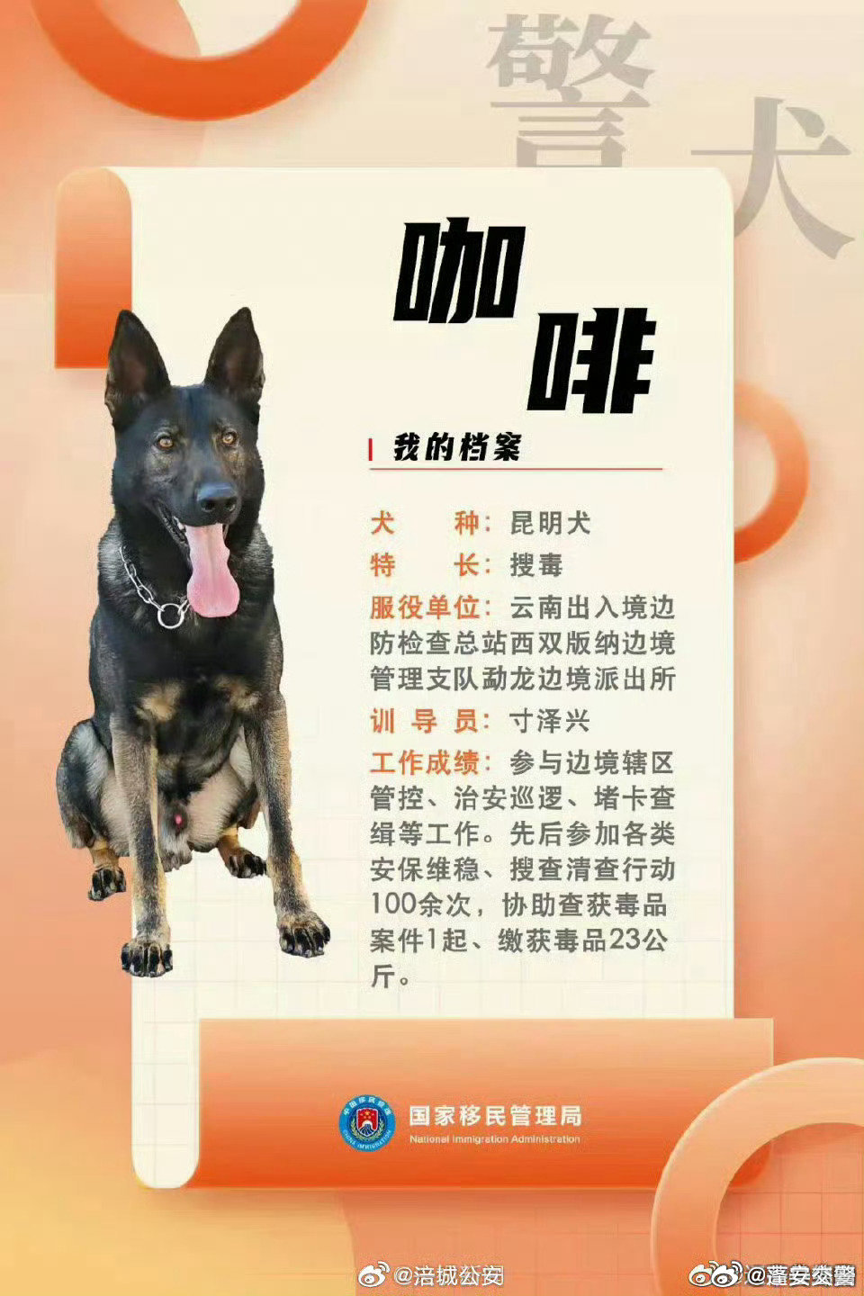 警犬因上班没精神被通报批评，职责与关怀的双向思考