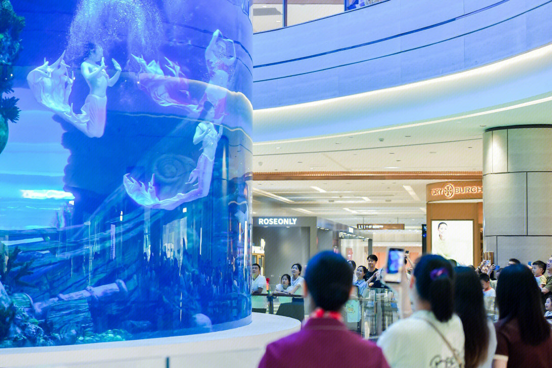 重庆观音桥水族馆，探秘水下世界的奇妙之旅