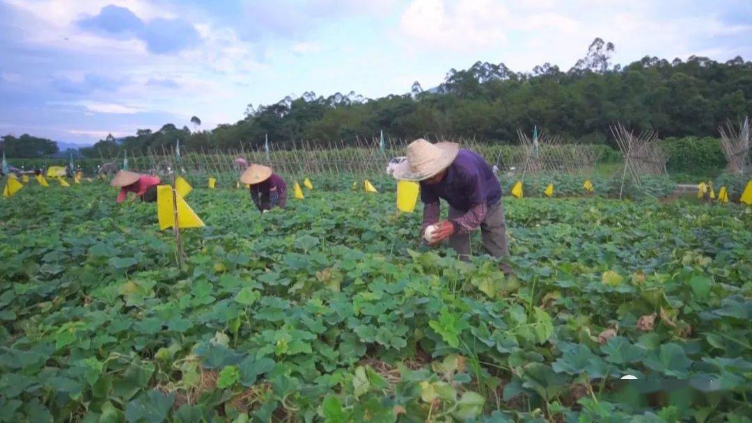 热门推荐 第276页