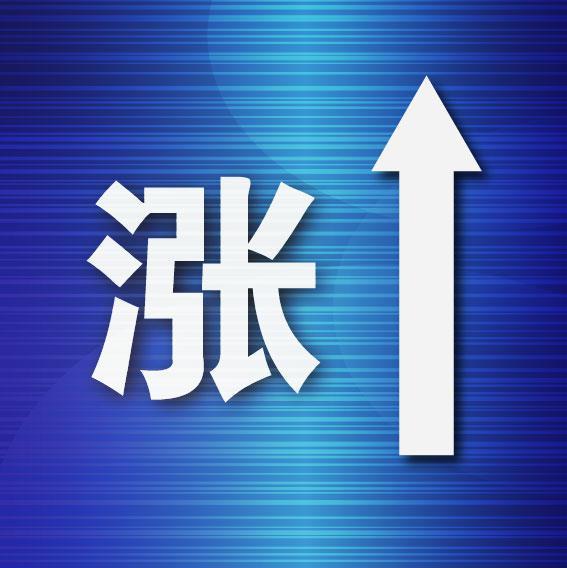 大连市城市社会经济调查队最新新闻解读