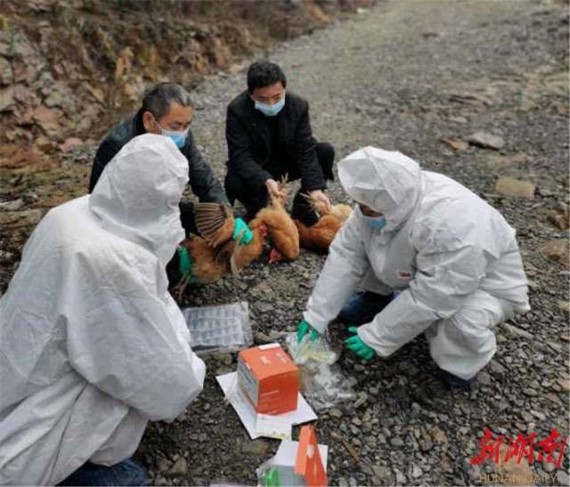 花垣县计划生育委员会最新招聘信息及招聘动态概述