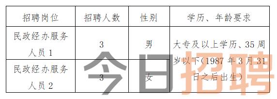 北仑区教育局最新招聘信息概览